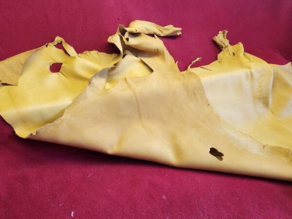 Yellow leather hide on red background.