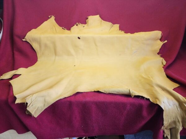 Tanned leather hide on red fabric background.