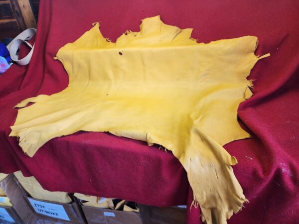 Yellow leather hide on red fabric background.