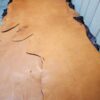 Brown leather hide on a flat surface.