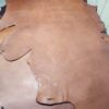 Brown leather hide on a flat surface.