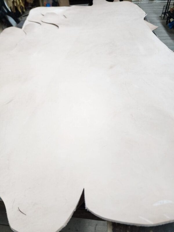 20240227_171518 Large sheet of pale leather on table.