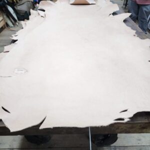 20240227_172148 Large light tan leather hide on table.
