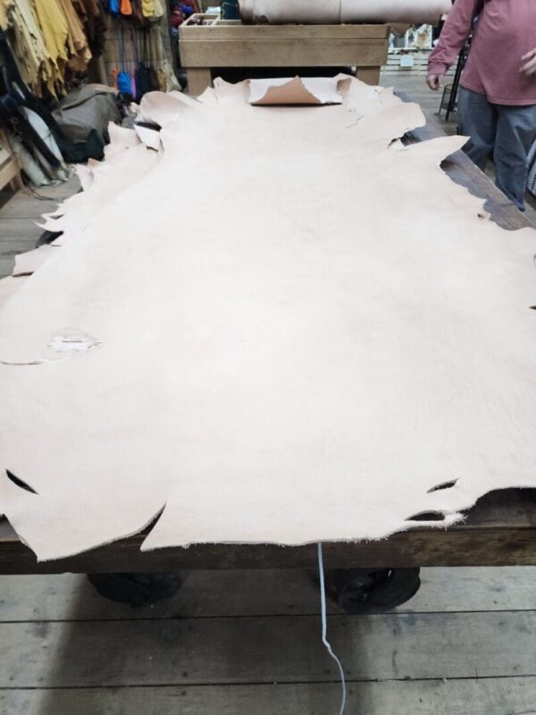 Large light tan leather hide on table.