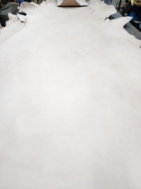 Large piece of light-colored leather hide.