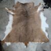 Animal hide laid out on concrete floor.