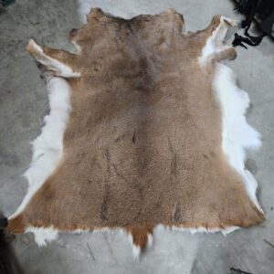 20240322_172003 Animal hide laid out on concrete floor.
