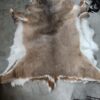 Animal hide displayed on a concrete floor.