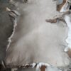 Animal hide laid out on concrete floor.