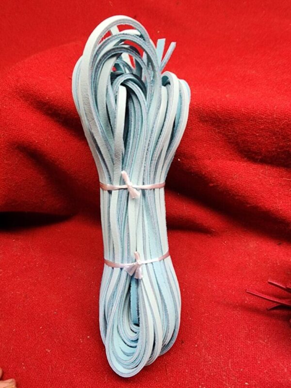Blue shoelaces bundled on red fabric.