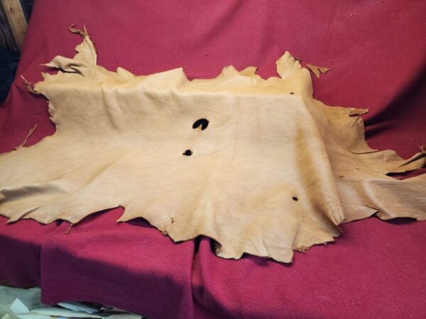 20240507_175410 Tanned leather hide on red cloth background.