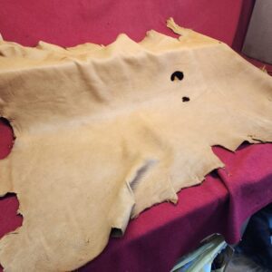 20240507_175415 Tanned animal hide on red surface.