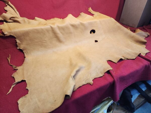 20240507_175415 Tanned animal hide on red surface.