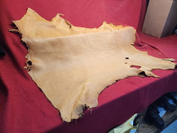 20240507_180019 Tanned leather hide on red fabric background.