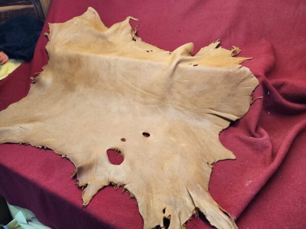 20240507_180023 Tanned animal hide on red fabric background.