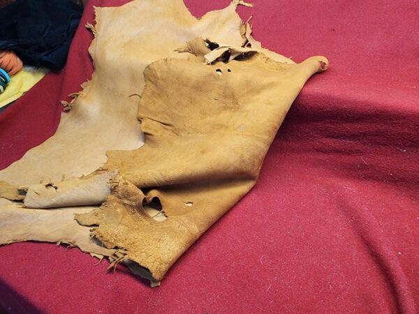 20240507_180027 Torn leather hide on red fabric surface.