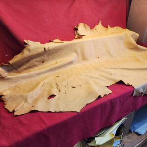 20240508_124336 Tanned leather hide on red fabric.