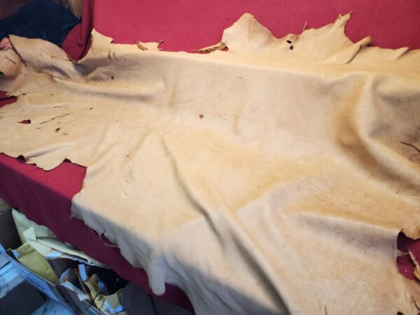 20240508_124341 Animal hide on a red surface.