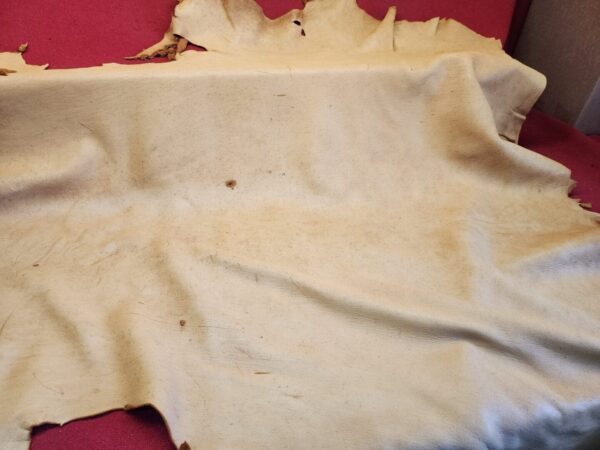 20240508_124347 Animal hide spread on a red surface.