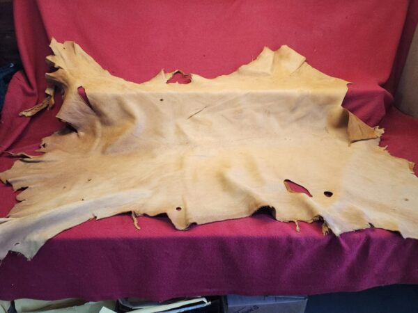 20240508_124536 Tanned leather hide on red cloth background.