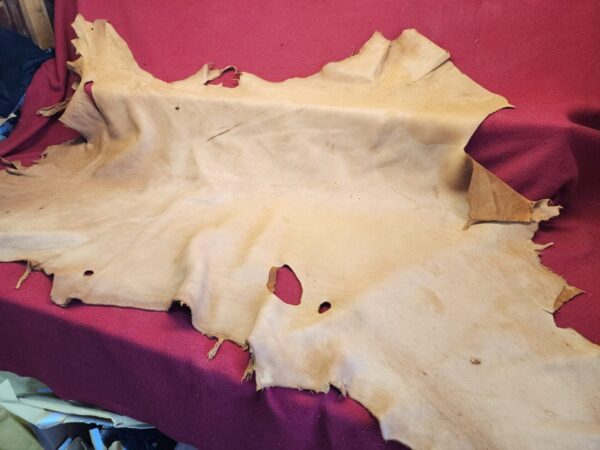 20240508_124539 Tanned leather hide on red fabric background.