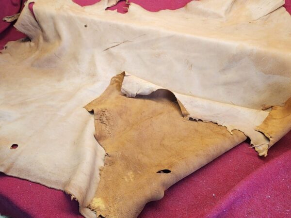 20240508_124545 Tanned animal hides on red fabric.