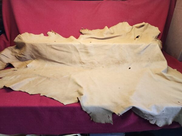 Tanned animal hide on a red backdrop.