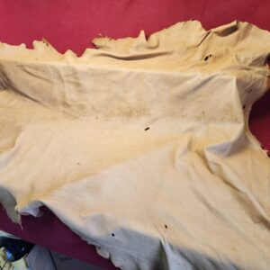 20240508_124839 Tanned leather hide on red fabric background.