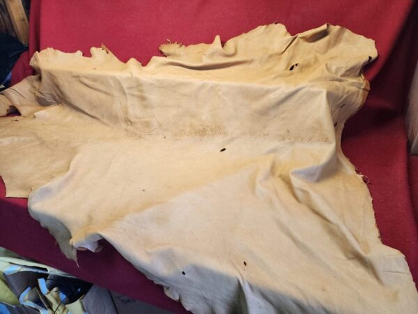 Tanned leather hide on red fabric background.