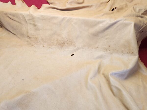 Tanned animal hide with visible imperfections.