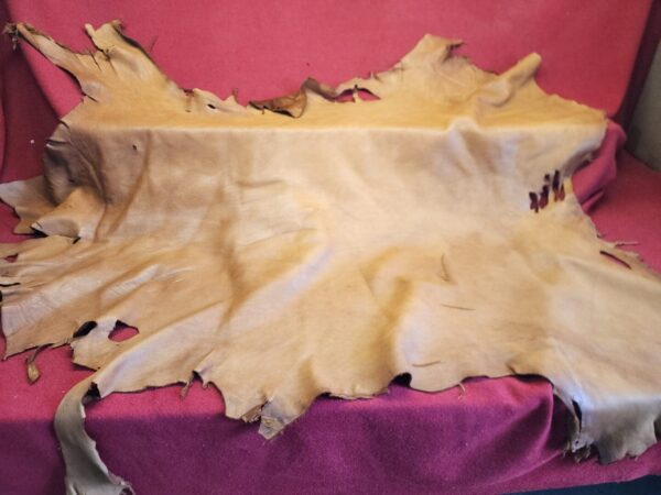 Leather hide on a red surface.
