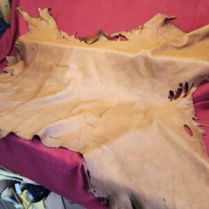 20240508_131526 Tanned leather hide on a red surface.