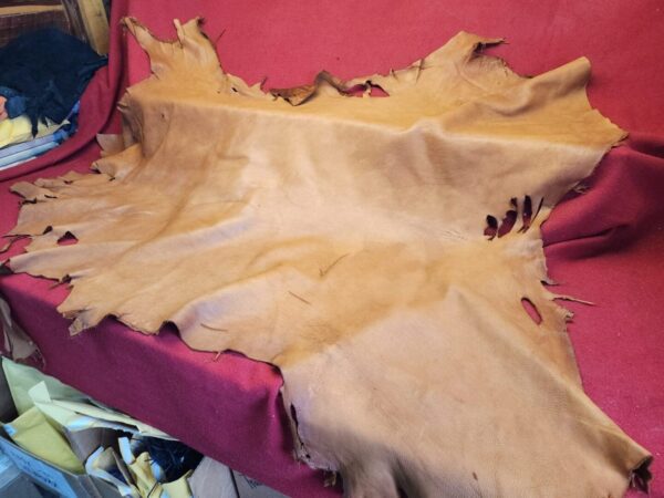 Tanned leather hide on a red surface.