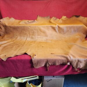 20240508_140628 Tanned leather hide on red fabric background.