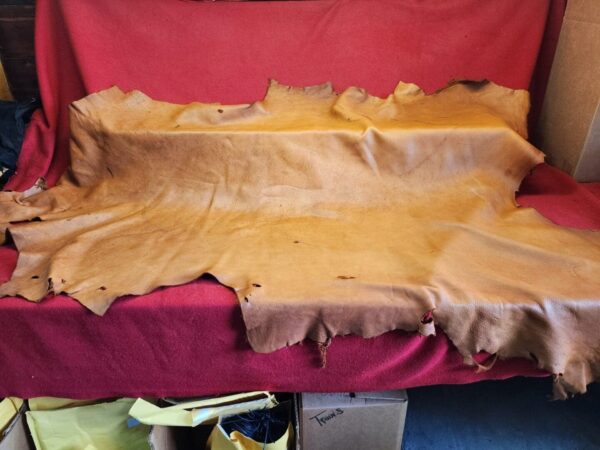 Tanned leather hide on red fabric background.