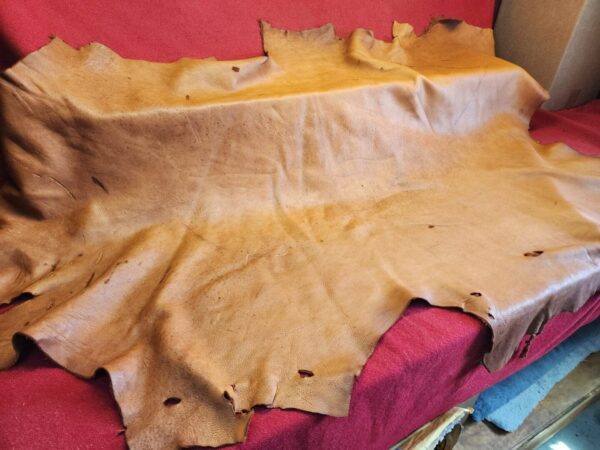 Large piece of tan leather on display.