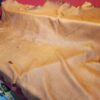 Tanned leather hide on red surface.