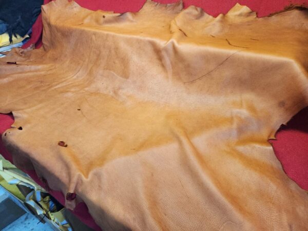 Tanned leather hide on red surface.