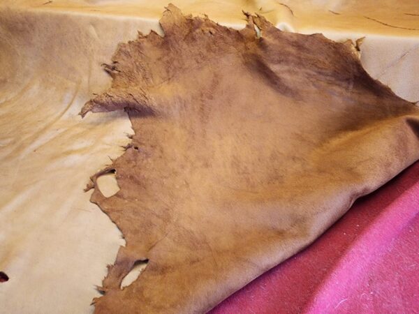 Aged leather hide on red surface.