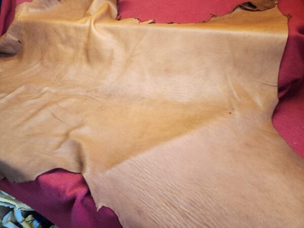 Tanned leather hide on red surface.