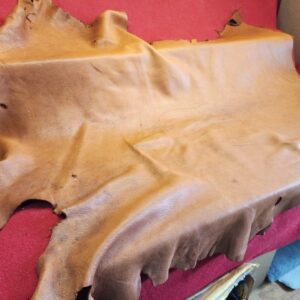 20240508_140802 Brown leather hide on a red surface.