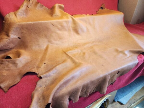 Brown leather hide on a red surface.