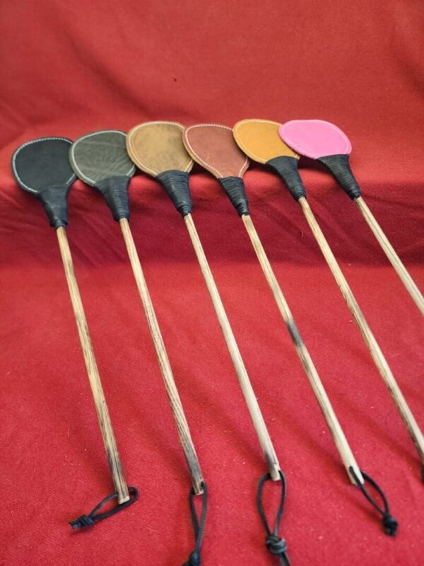 20240629_134356 Various paddles arranged on a red background.