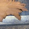 Brown leather hide on wooden surface.