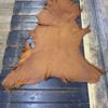 Brown leather hide on wooden surface.