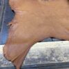 Brown leather hide on wooden surface.