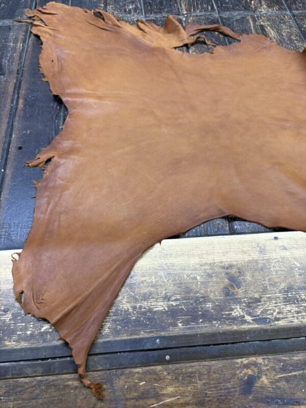 Brown leather hide on wooden surface.
