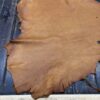 Brown leather hide on wooden surface.