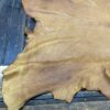 Tanned leather hide on wooden surface.