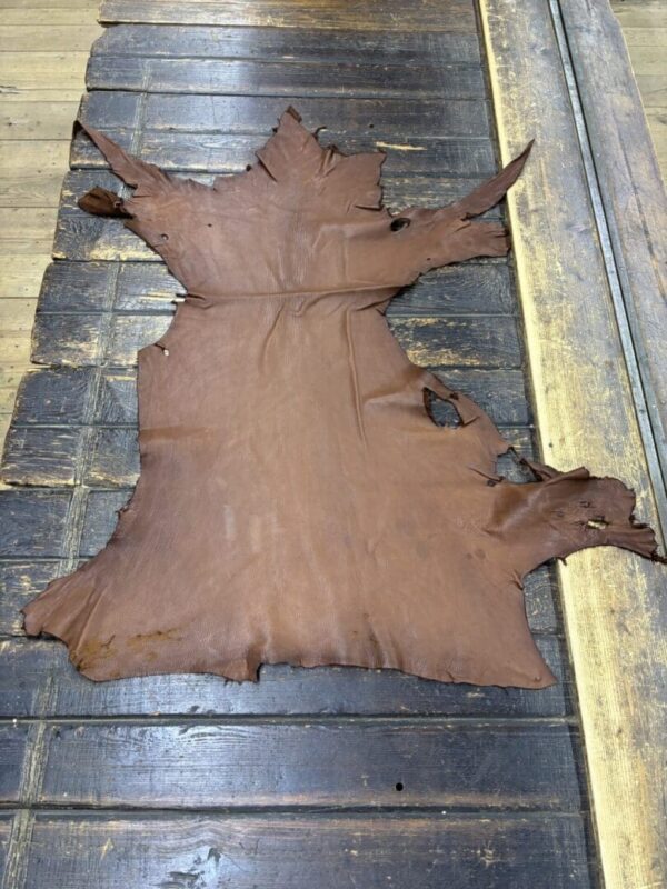 IMG_1884 Tanned leather hide on wooden table.